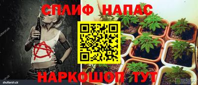 гашик Комсомольск-на-Амуре