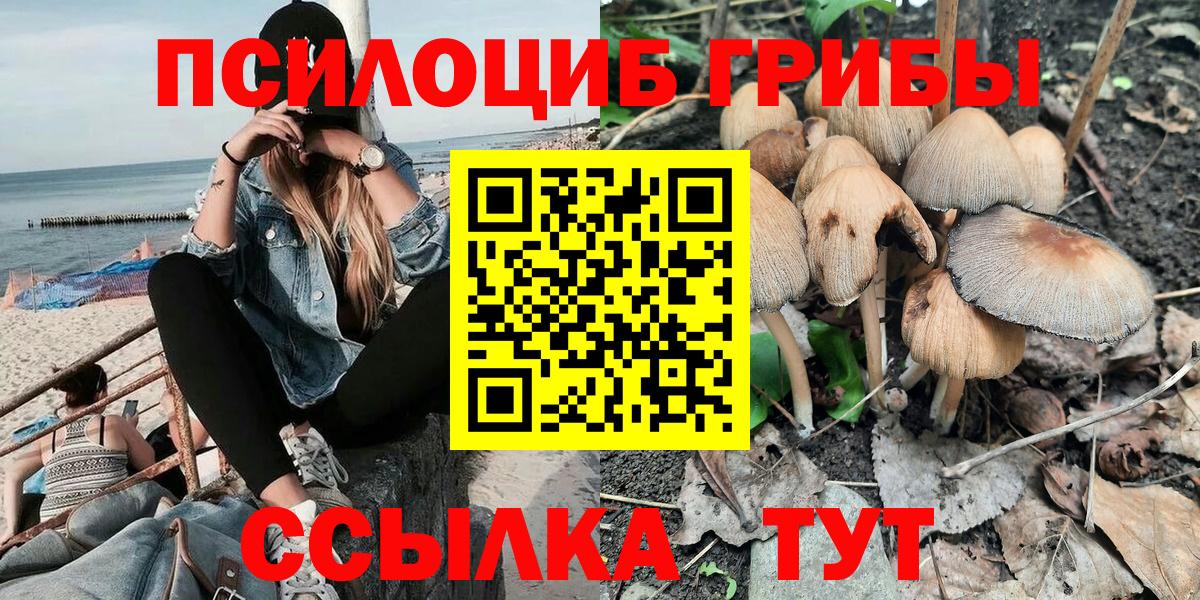 Кириши  Псилоцибиновые грибы прущие грибы  купить наркоту  Вход с VPN 